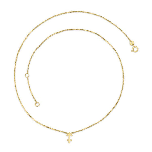 9ct Yellow Gold Sagittarius Zodiac Necklace 40-45cm