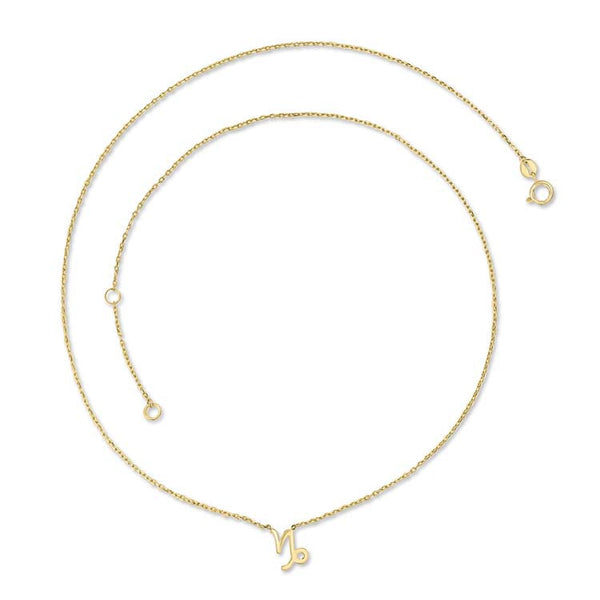 9ct Yellow Gold Capricorn Necklace 40-45cm